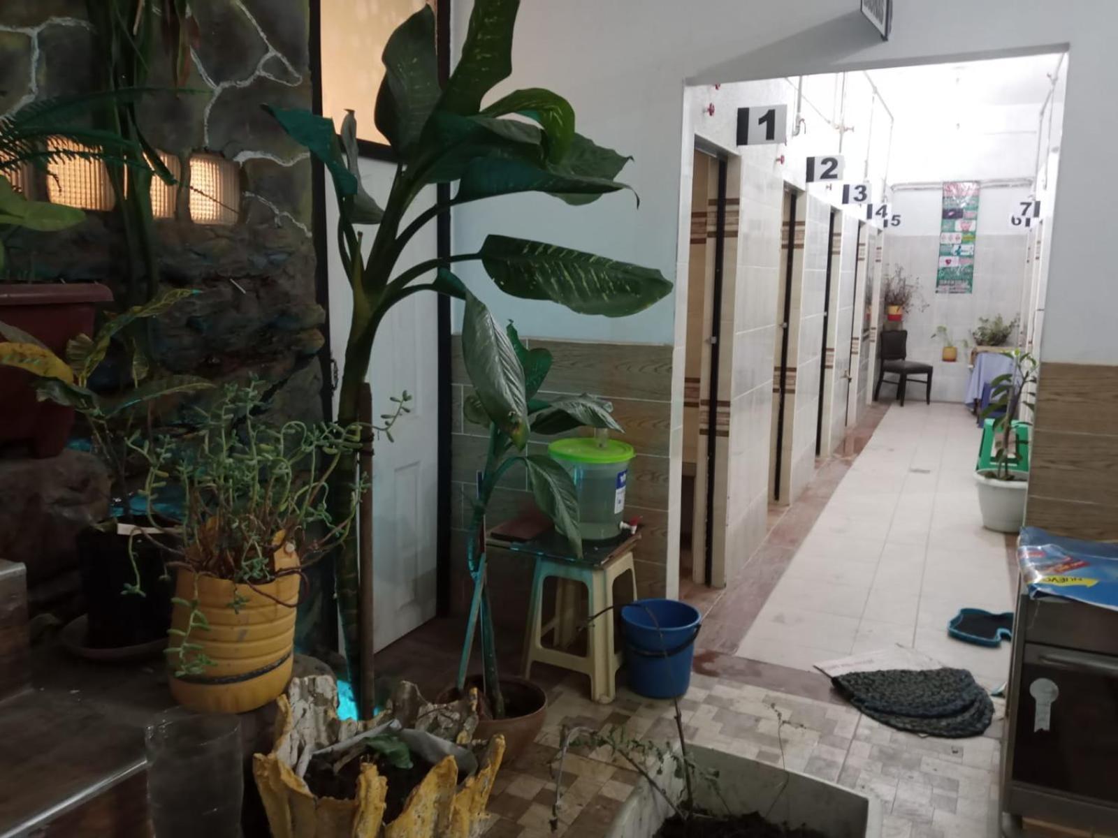 Casa Qura Qura Hostel Cochabamba Ngoại thất bức ảnh